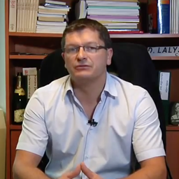 Denis Lalys